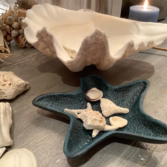 Antique Clam Shell Tridacna Gigas huge collectible unique - Picture 9 of 17